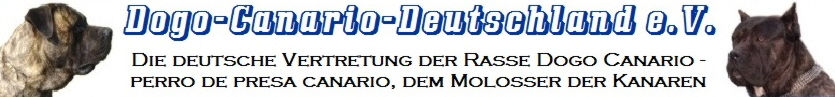 Banner neu-202 Banner neu-202