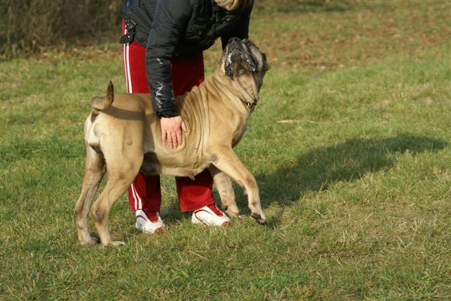 DSC02343 DSC02343
