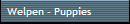 Welpen - Puppies