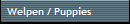 Welpen / Puppies