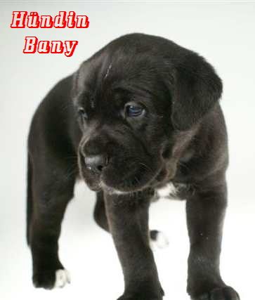 Bany 3 Bany 3