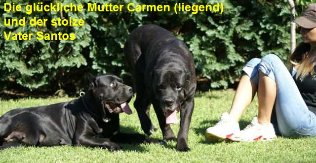 Carmen und Santos3