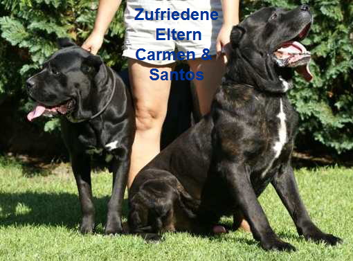 Carmen und Santos4