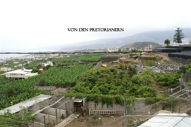 DSC03845