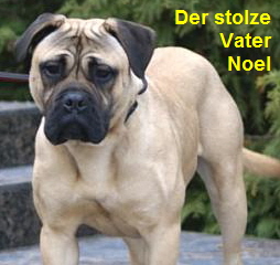 Vater Noel