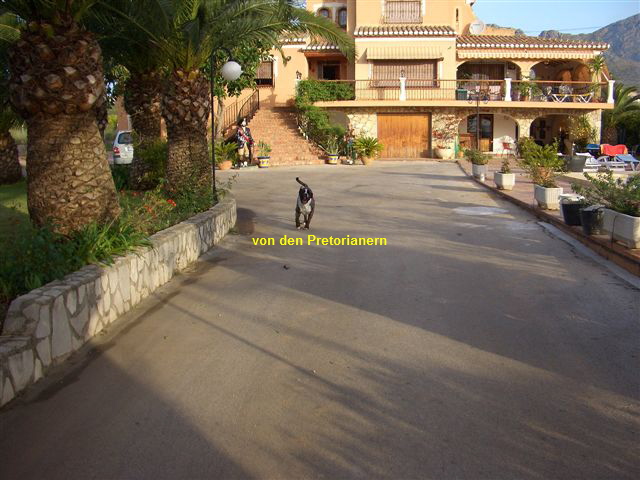 r1 044.jpg r1 044.jpg
